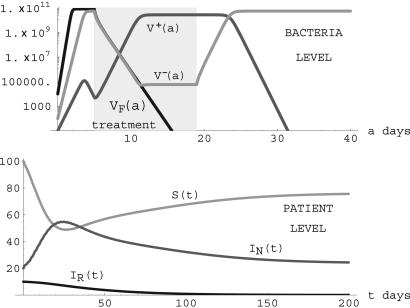 Fig. 8.