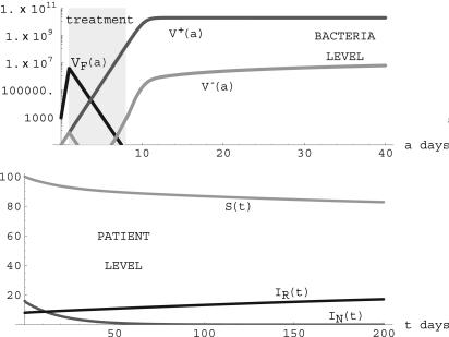 Fig. 9.