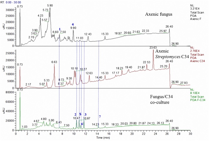 FIGURE 3