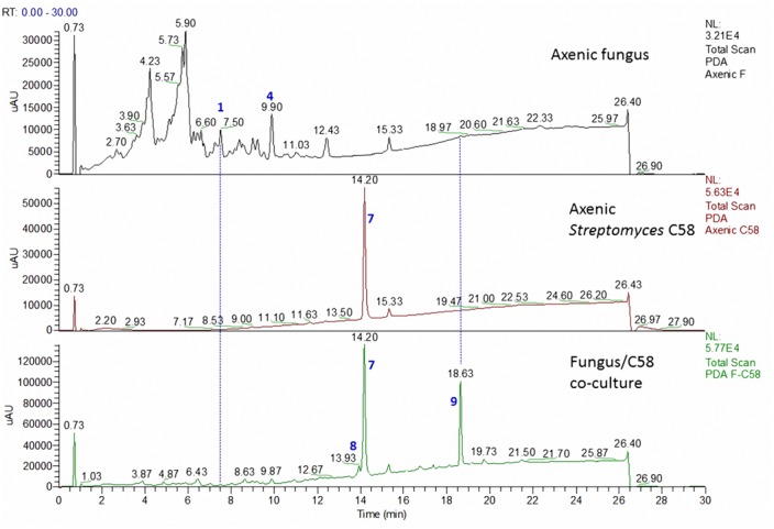 FIGURE 4