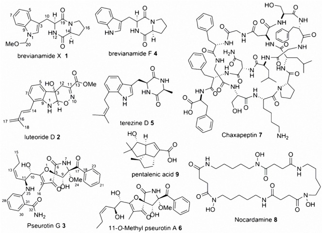 FIGURE 1