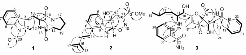 FIGURE 2