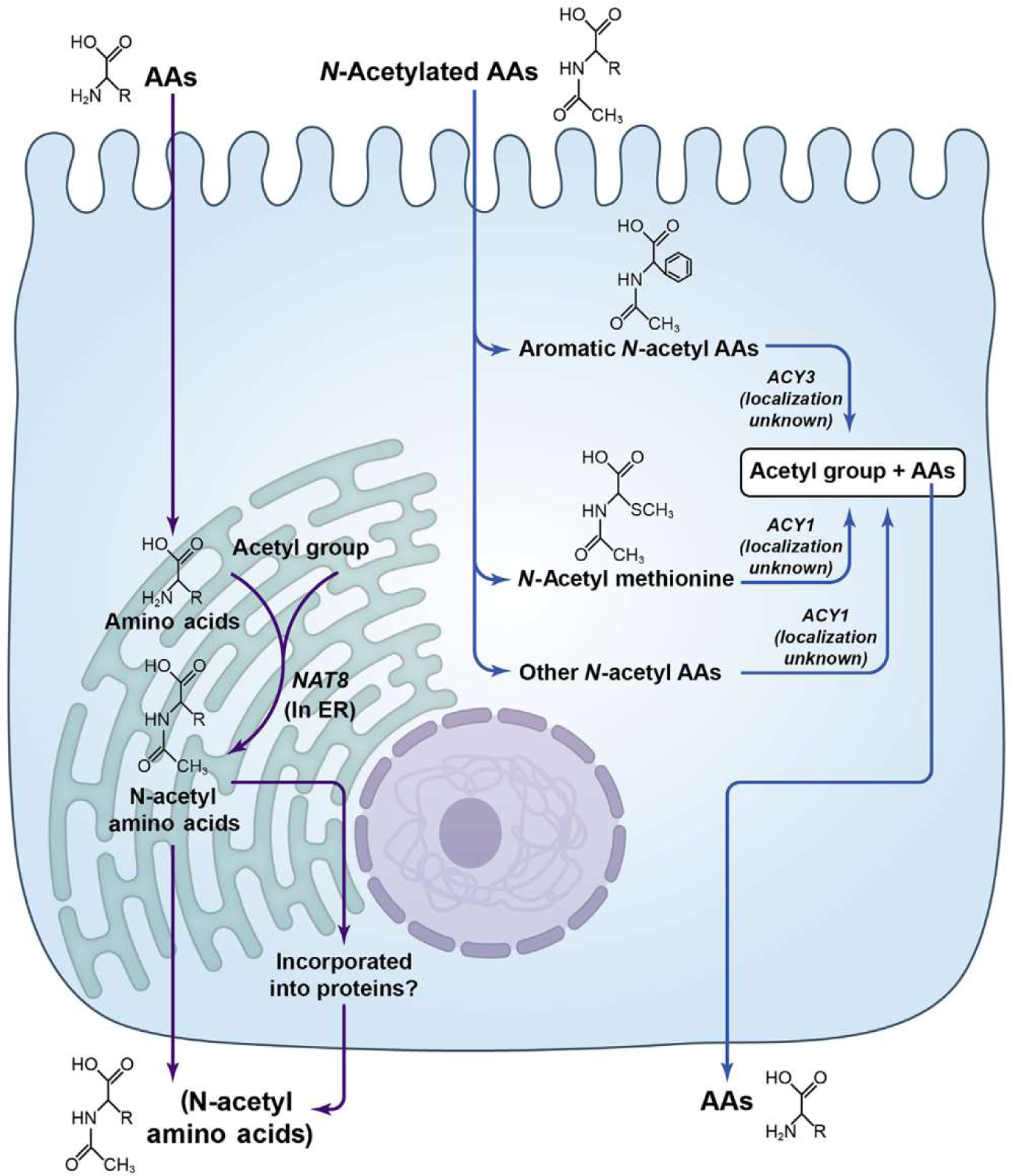 Figure 2 |