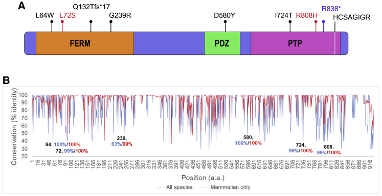 Figure 2