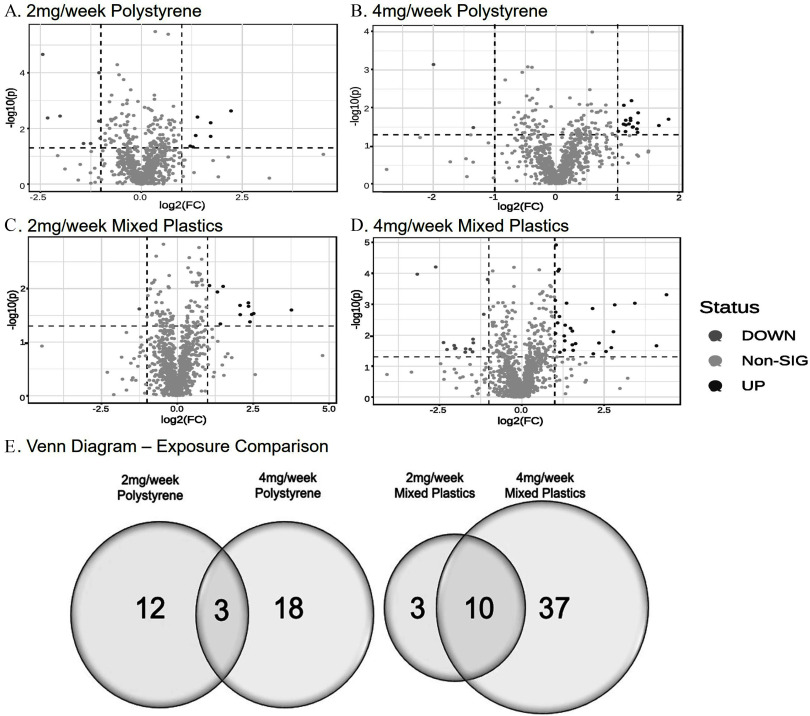 Figures 7A to 7D are volcano plots titled 2 milligrams per week polystyrene, 4 milligrams per week polystyrene, 2 milligrams per week mixed plastics, and 4 milligrams per week mixed plastics, plotting negative log 10 (lowercase p), ranging from 0 to 6 in increments of 2; 0 to 4 in unit increments; 0 to 2 in unit increments; and 0 to 5 in unit increments (y-axis) across log 2 (fold change), ranging from negative 2.5 to 2.5 in increments of 2.5; negative 2 to 2 in unit increments; negative 2.5 to 5.0 in increments of 2.5; and negative 2.5 to 2.5 in increments of 2.5 (x-axis) for status, including down, non-sig, and up, respectively. Figure 7E is a set of two Venn diagrams tiled Exposure comparison. On the left, the Venn diagram displays two circles. The left circle is labelled 2 milligrams per week polystyrene with 12 metabolites, the right circle is labelled 4 milligrams per week polystyrene with 18 metabolites. The intersection area displays 3 metabolites. On the right, the Venn diagram displays two circles. The left circle is labelled 2 milligrams per week mixed plastics with 3 metabolites, the right circle is labelled 4 milligrams per week mixed plastics with 37 metabolites. The intersection area has 10 metabolites.