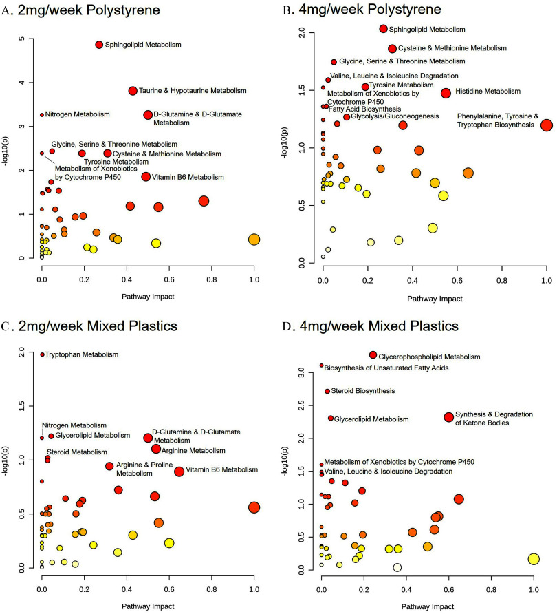 Figures 8A to 8D are scatter dot plots titled 2 milligrams per week polystyrene, 4 milligrams per week polystyrene, 2 milligrams per week mixed plastics, and 4 milligrams per week mixed plastics, plotting negative log 10 (lowercase p), ranging from 0 to 5 in unit increments; 0.0 to 2.0 in increments of 0.5; 0.0 to 2.0 in increments of 0.5; and 0.0 to 3.0 in increments of 0.5 (y-axis) across pathway impact, ranging from 0.0 to 1.0 in increments of 0.2 (x-axis) for sphingolipid metabolism, taurine and hypotaurine metabolism, nitrogen metabolism, D-glutamine and D-Glutamate metabolism, glycine, serine and threonine metabolism, cysteine and methionine metabolism, tyrosine metabolism, metabolism of xenobiotics by cytochrome P 450, vitamin B 6 metabolism; sphingolipid metabolism, cysteine and methionine metabolism, glycine, serine and threonine metabolism, valine, leucine and isoleucine degradation, tyrosine metabolism, metabolism of xenobiotics by cytochrome P 450, histidine metabolism, fatty acid biosynthesis, glycolysis or gluconeogenesis, phenylalanine, tyrosine and tryptophan biosynthesis; nitrogen metabolism, glycerolipid metabolism, D-glutamine and D-Glutamate metabolism, arginine metabolism, arginine and proline metabolism, vitamin B 6 metabolism; and glycerophospholipid metabolism, biosynthesis of unsaturated fatty acids, steroid biosynthesis, glycerolipid metabolism, synthesis and degradation of ketone bodies, metabolism of xenobiotics by cytochrome P 450, valine, leucine and isoleucine degradation, respectively.