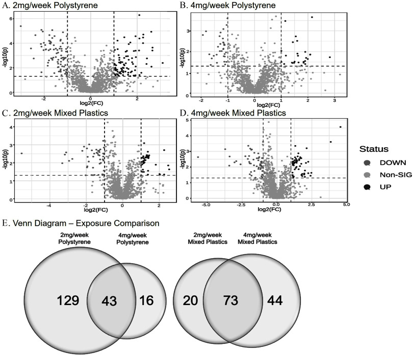 Figures 5A to 5D are volcano plots titled 2 milligrams per week polystyrene, 4 milligrams per week polystyrene, 2 milligrams per week mixed plastics, and 4 milligrams per week mixed plastics, plotting negative log 10 (lowercase p), ranging from 0 to 6 in increments of 2; 0 to 3 in unit increments; 0 to 4 in unit increments; and 0 to 5 in unit increments (y-axis) across log 2 (fold change), ranging from negative 2 to 2 in increments of 2; negative 2 to 3 in unit increments; negative 4 to 2 in increments of 2; and negative 5.0 to 5.0 in increments of 2.5 (x-axis) for status, including down, non-sig, and up, respectively. Figure 5E is a set of two Venn diagrams tiled Exposure comparison. On the left, the Venn diagram displays two circles. The left circle is labelled 2 milligrams per week polystyrene with 128 metabolites, the right circle is labelled 4 milligrams per week polystyrene with 16 metabolites. The intersection area displays 43 metabolites. On the right, the Venn diagram displays two circles. The left circle is labelled 2 milligrams per week mixed plastics with 20 metabolites, the right circle is labelled 4 milligrams per week mixed plastics with 44 metabolites. The intersection area has 73 metabolites.