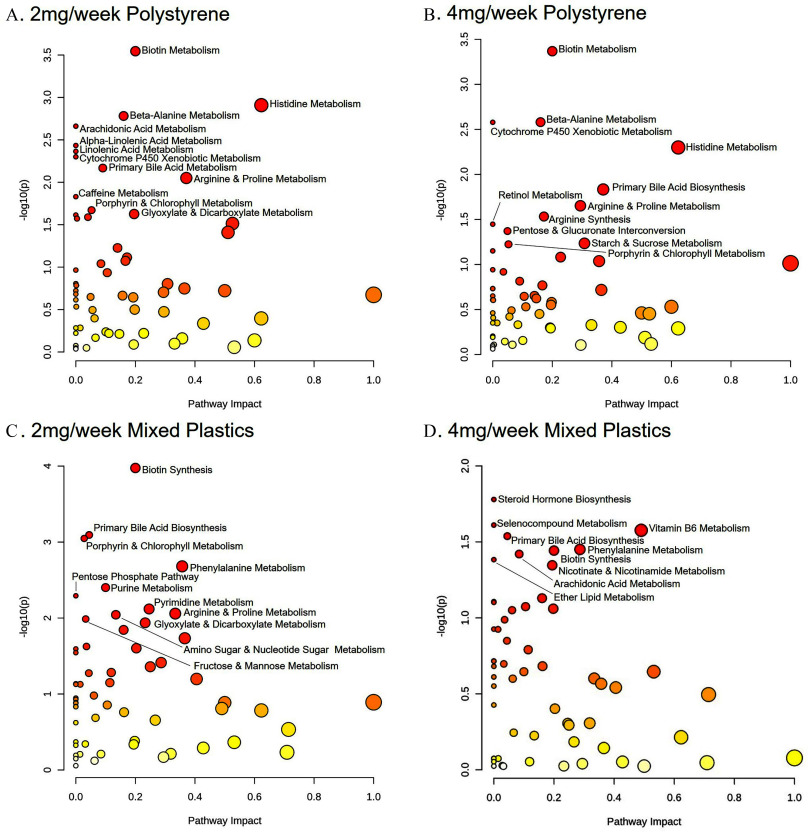 Figures 4A to 4D are scatter dot plots titled 2 milligrams per week polystyrene, 4 milligrams per week polystyrene, 2 milligrams per week mixed plastics, and 4 milligrams per week mixed plastics, plotting negative log 10 (lowercase p), ranging from 0.0 to 3.5 in increments of 0.5; 0.0 to 3.5 in increments of 0.5; 0 to 4 in unit increments; and 0.0 to 2.0 in increments of 0.5 (y-axis) across pathway impact, ranging from 0.0 to 1.0 in increments of 0.2 (x-axis) for biotin metabolism, beta-alanine metabolism, arachidonic acid metabolism, alpha-linolenic acid metabolism, cytochrome P 450 xenobiotic metabolism, primary bile acid metabolism, arginine and proline metabolism, caffeine metabolism, porphyrin and chlorophyll metabolism, glyoxylate and dicarboxylate metabolism; biotin metabolism, beta-alanine metabolism, cytochrome P 450 xenobiotic metabolism histidine metabolism, retinol metabolism, primary bile acid biosynthesis, arginine and proline metabolism arginine synthesis, pentose and glucuronate interconversion, starch and sucrose metabolism, porphyrin and chlorophyll metabolism; biotin synthesis, primary bile acid biosynthesis, porphyrin and chlorophyll metabolism, phenylalanine metabolism, pentose phosphate pathway, purine metabolism, pyrimidine metabolism, arginine and proline metabolism, glyoxylate and dicarboxylate metabolism, amino sugar and nucleotide sugar metabolism, fructose and mannose metabolism; and steroid hormone biosynthesis, selenocompound metabolism, vitamin B 6 metabolism, primary bile acid biosynthesis, phenylalanine metabolism, biotin synthesis, nicotinate and nicotinamide metabolism, arachidonic acid metabolism, ether lipid metabolism, respectively.