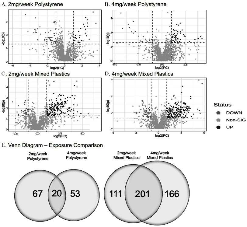 Figures 3A to 3D are volcano plots titled 2 milligrams per week polystyrene, 4 milligrams per week polystyrene, 2 milligrams per week mixed plastics, and 4 milligrams per week mixed plastics, plotting negative log 10 (lowercase p), ranging from 0 to 3 in unit increments; 0 to 3 in unit increments; 0 to 4 in unit increments; and 0 to 6 in increments of 2 (y-axis) across log 2 (fold change), ranging from negative 6 to 4 in increments of 2; negative 5.0 to 2.5 in increments of 2.5; negative 2.5 to 5.0 in increments of 2.5; and negative 6 to 6 in increments of 3 (x-axis) for status, including down, non-sig, and up, respectively. Figure 3E is a set of two Venn diagrams tiled Exposure comparison. On the left, the Venn diagram displays two circles. The left circle is labelled 2 milligrams per week polystyrene with 67 metabolites, the right circle is labelled 4 milligrams per week polystyrene with 53 metabolites. The intersection area displays 20 metabolites. On the right, the Venn diagram displays two circles. The left circle is labelled 2 milligrams per week mixed plastics with 111 metabolites, the right circle is labelled 4 milligrams per week mixed plastics with 166 metabolites. The intersection area has 201 metabolites.