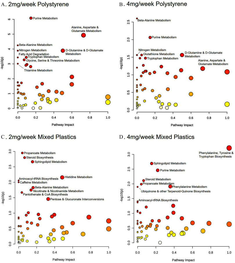 Figures 6A to 6D are scatter dot plots titled 2 milligrams per week polystyrene, 4 milligrams per week polystyrene, 2 milligrams per week mixed plastics, and 4 milligrams per week mixed plastics, plotting negative log 10 (lowercase p), ranging from 0 to 6 in unit increments; 0.0 to 2.5 in increments of 0.5; 0.0 to 3.0 in increments of 0.5; and 0.0 to 3.0 in increments of 0.5 (y-axis) across pathway impact, ranging from 0.0 to 1.0 in increments of 0.2 (x-axis) for purine metabolism, alanine, aspartate and glutamate metabolism, beta-alanine metabolism, nitrogen metabolism, D-glutamine and D-Glutamate metabolism, fatty acid degradation, tryptophan metabolism, glycine, serine and threonine metabolism, thiamine metabolism; beta-alanine metabolism, purine metabolism, nitrogen metabolism, D-glutamine and D-Glutamate metabolism, glutathione metabolism, tryptophan metabolism, alanine, aspartate and glutamate metabolism; propanoate metabolism, steroid biosynthesis, sphingolipid metabolism, histidine metabolism, aminoacyl-tRNA biosynthesis, caffeine metabolism, beta-alanine metabolism, nicotinate and nicotinamide metabolism, pantothenate and CoA biosynthesis, pentose and glucuronate interconversions; and phenylalanine, tyrosine and tryptophan biosynthesis, sphingolipid metabolism, purine metabolism, steroid metabolism, propanoate metabolism, phenylalanine metabolism, ubiquinone and other terpenoid-quinone biosynthesis, and aminoacyl-tRNA biosynthesis, respectively.