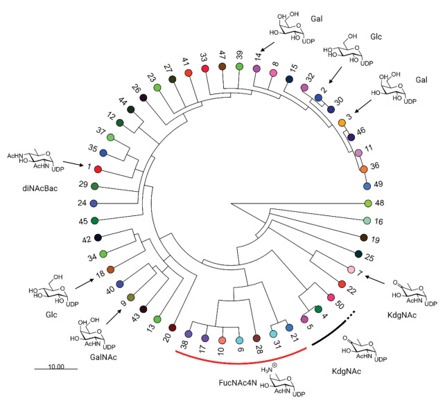 Figure 3: