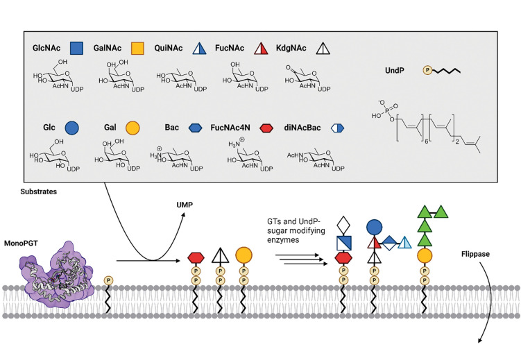 Figure 1: