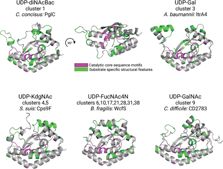 Figure 5: