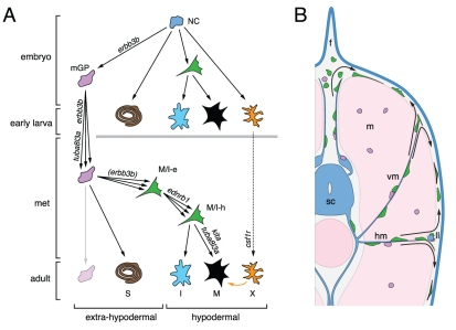 Figure 12