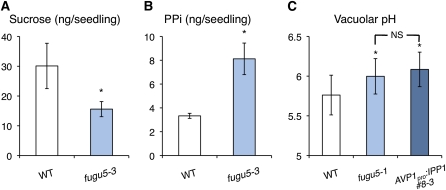 Figure 6.