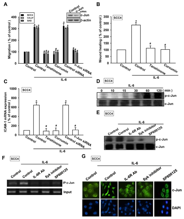 Figure 6.