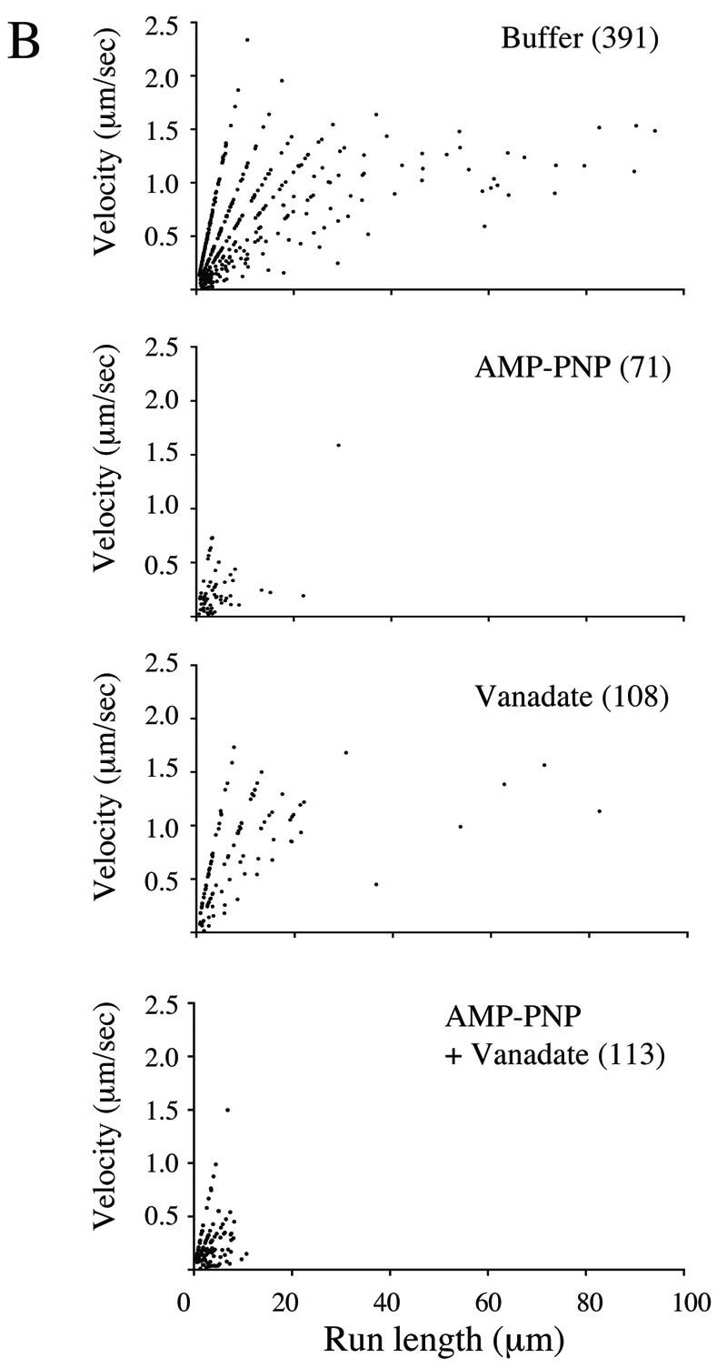 FIG.5.