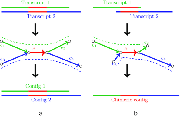 Figure 5: