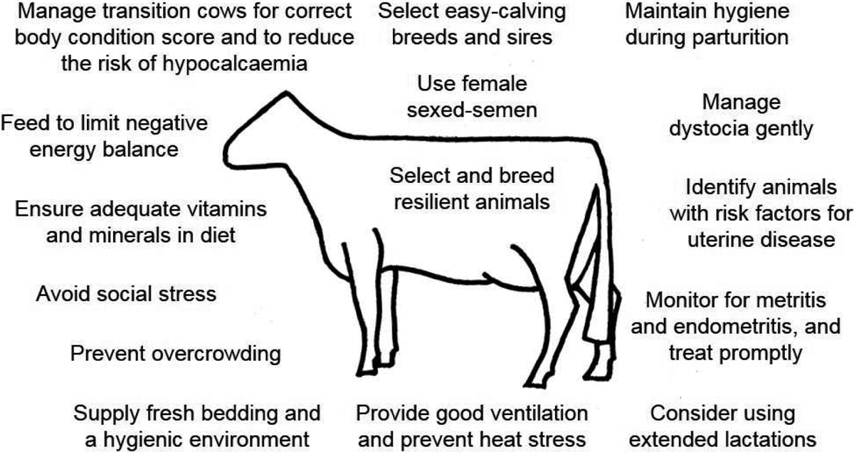 Figure 4.