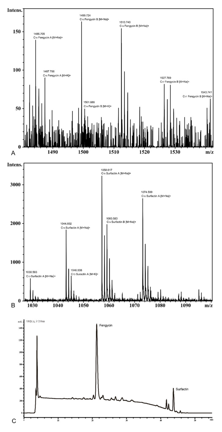 Figure 10