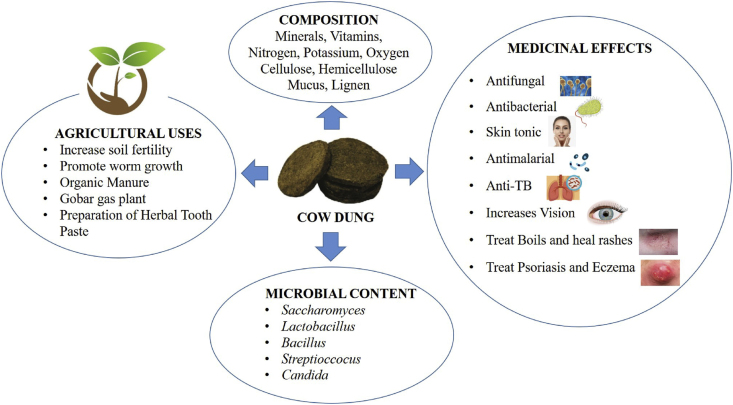 Fig. 3