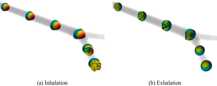 Fig. 3