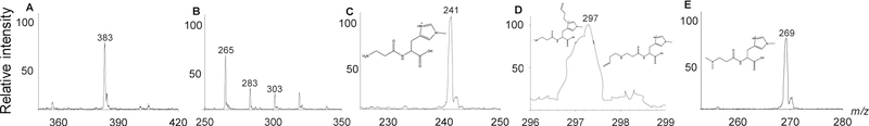 Fig. 3.