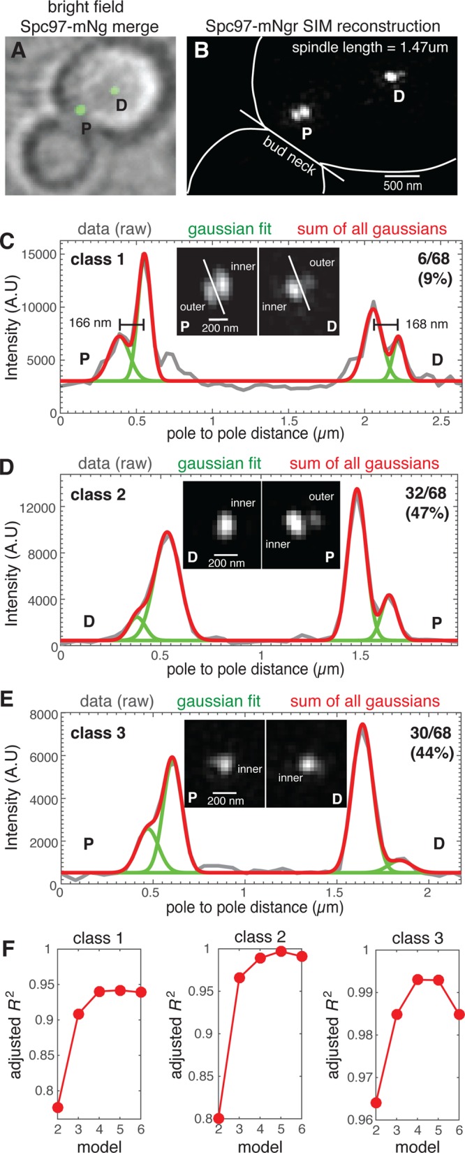 FIGURE 6: