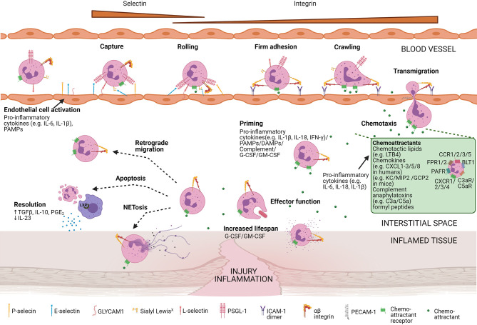 Figure 5