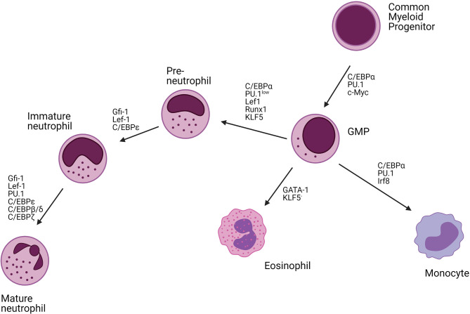 Figure 3