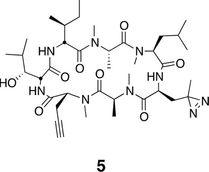 Figure 17.