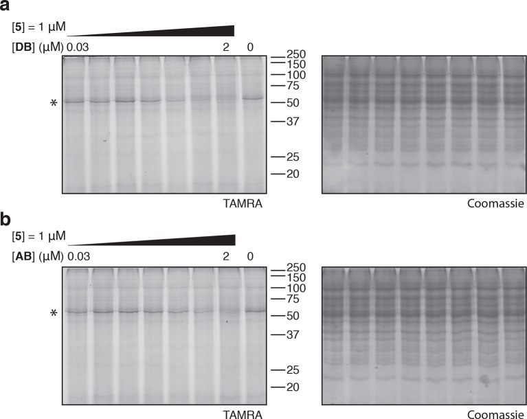 Figure 4—figure supplement 2.