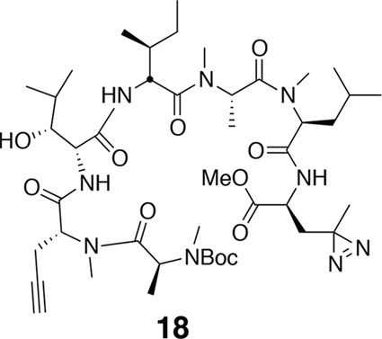 Figure 13.