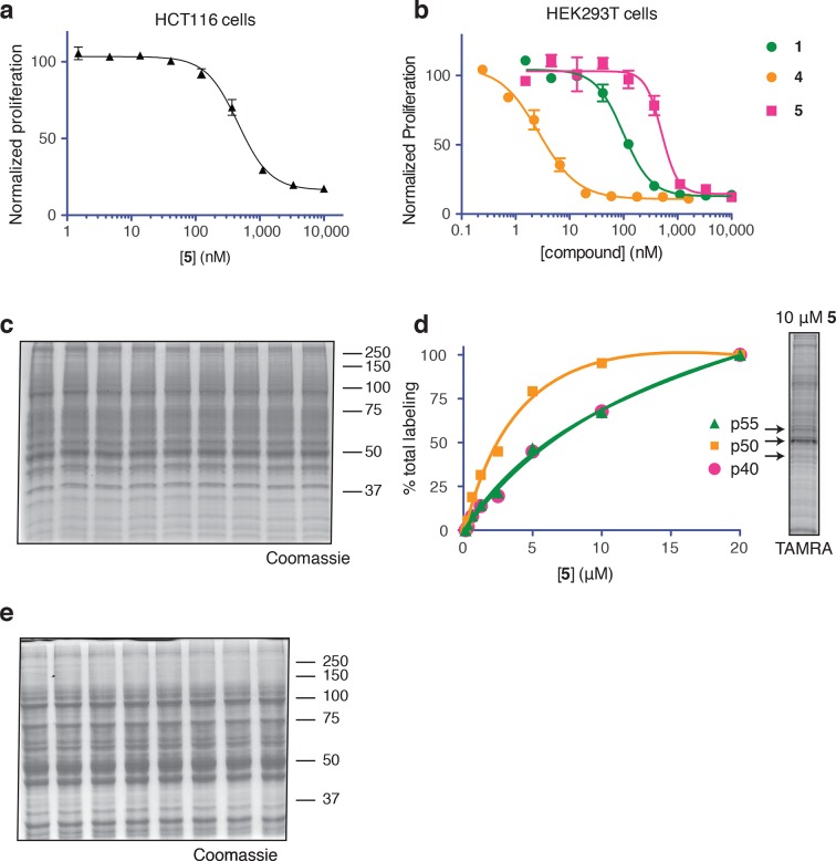 Figure 3—figure supplement 1.