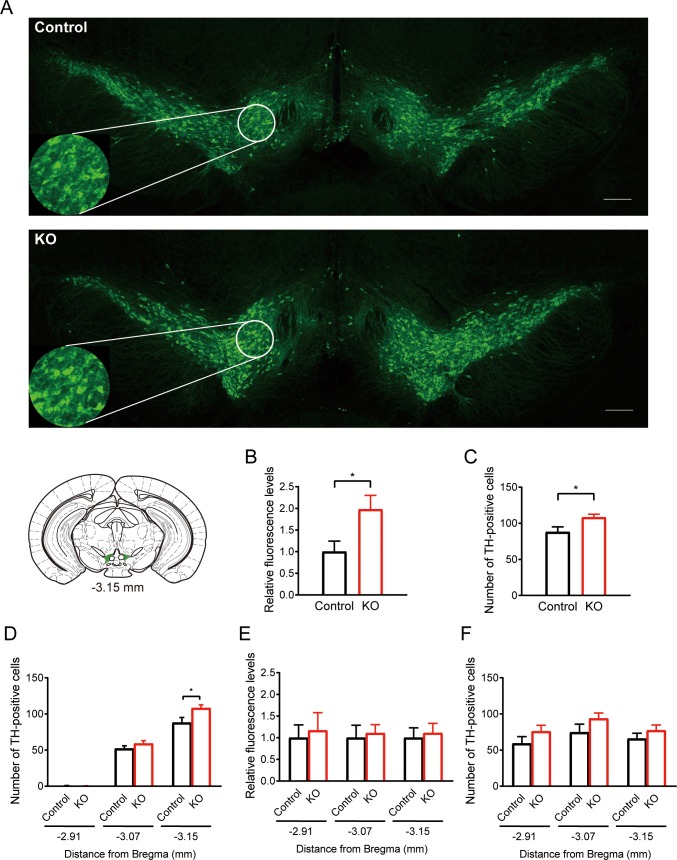 Fig 3