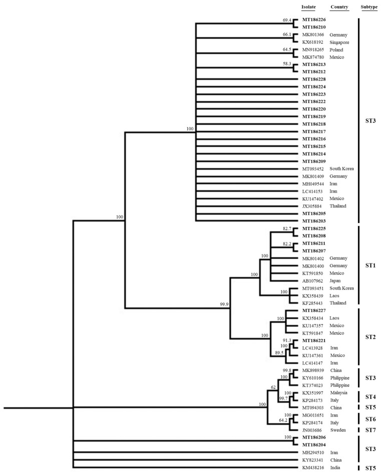 Fig. 1