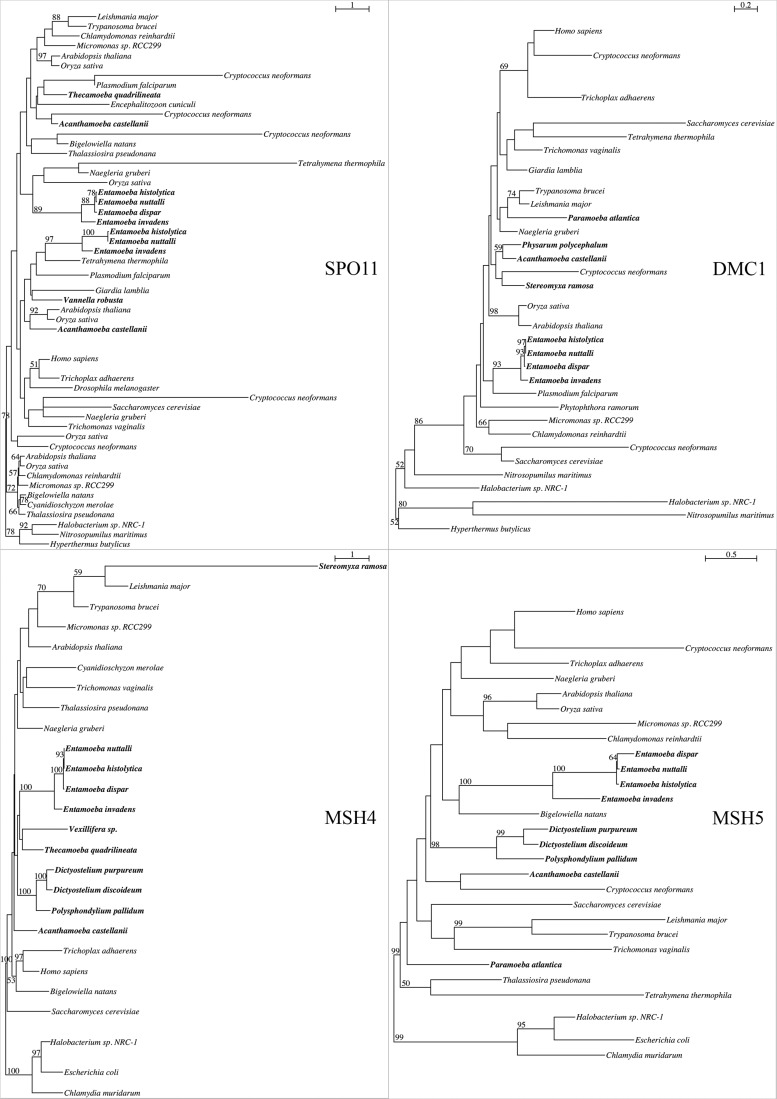 Fig. 2.—