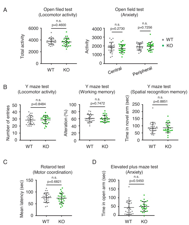 Figure 4—figure supplement 3.