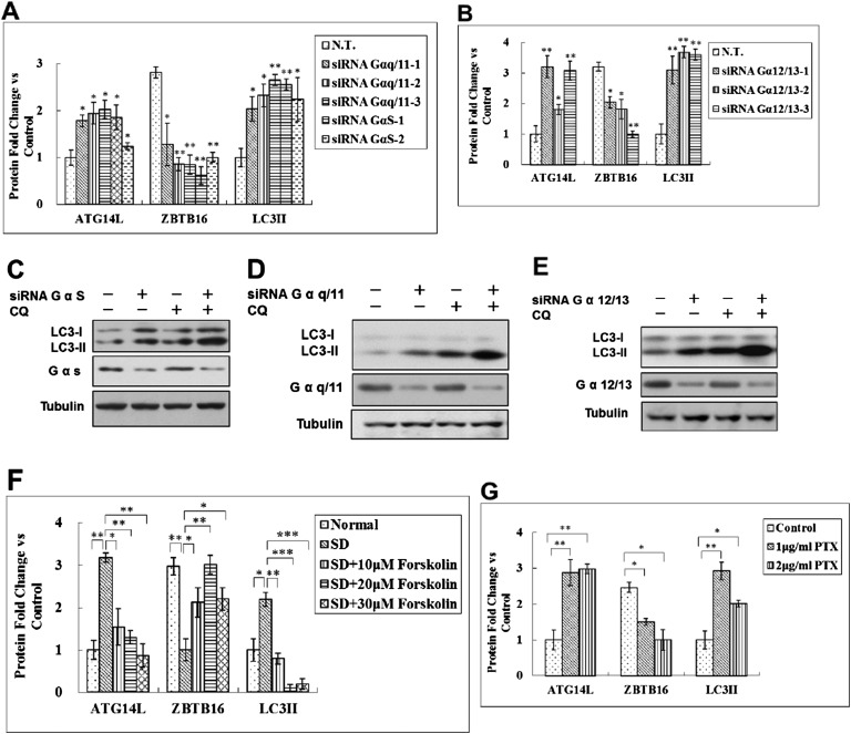 Figure 5—figure supplement 2.