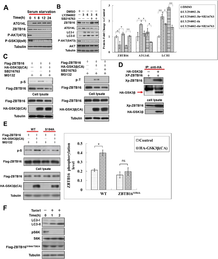 Figure 3—figure supplement 2.