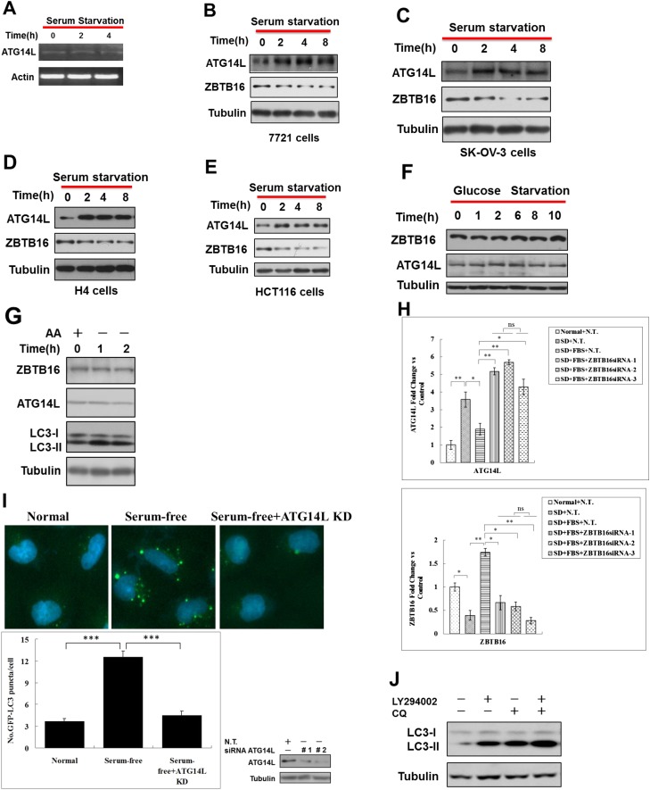 Figure 3—figure supplement 1.