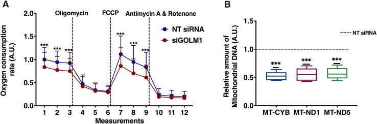 Fig. 6