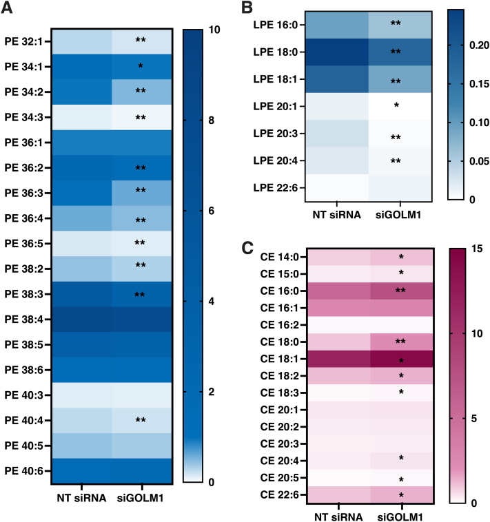 Fig. 4