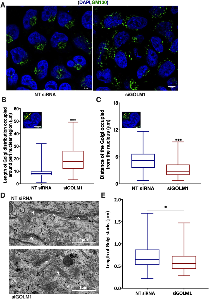 Fig. 7