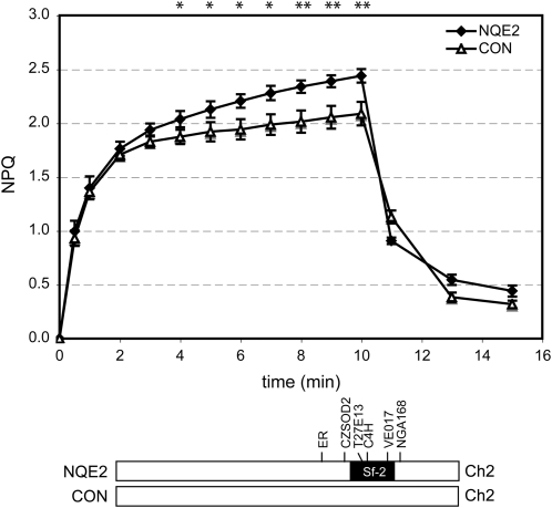 Figure 7.