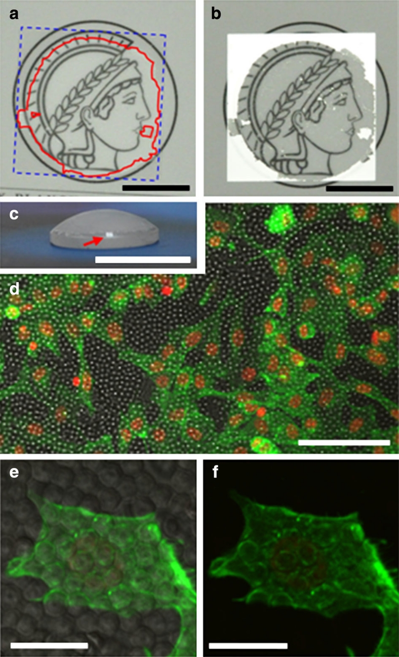 Figure 5