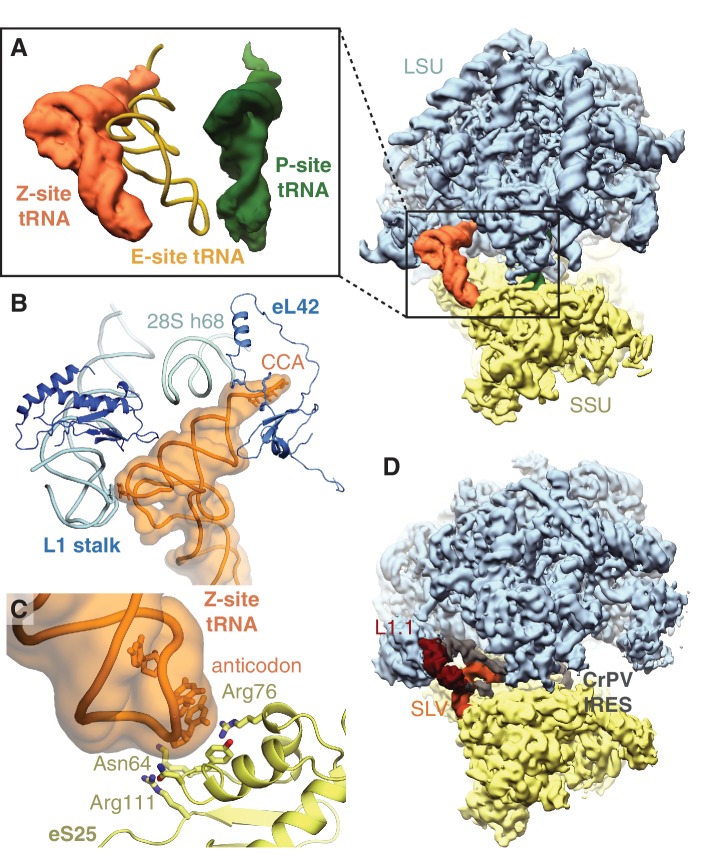 Figure 4.