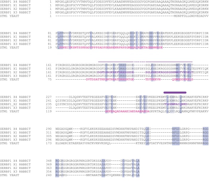 Figure 2—figure supplement 2.