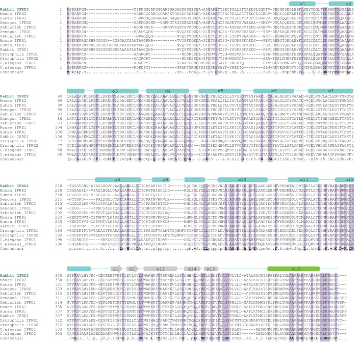 Figure 3—figure supplement 2.