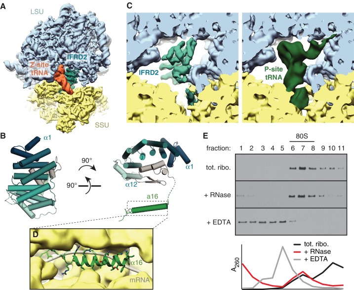 Figure 3.